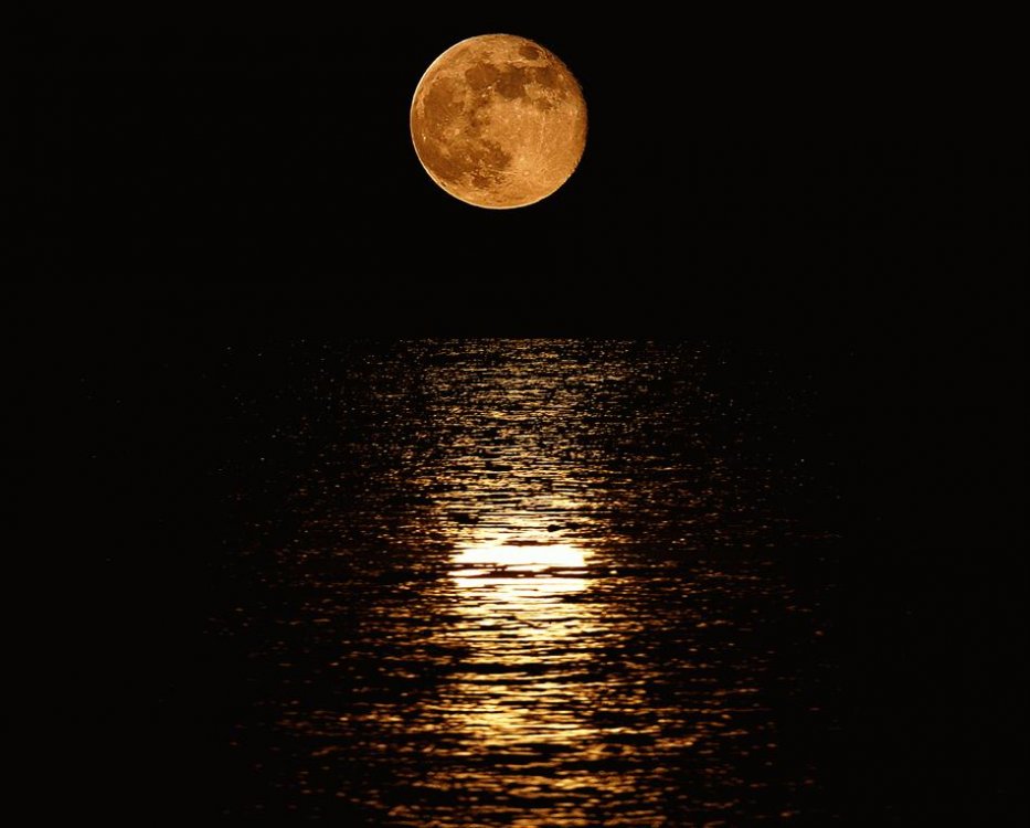 1203377810_FC20full20moon.thumb.jpg.0ea2fe83a729c398415d42da1ee20a62.jpg