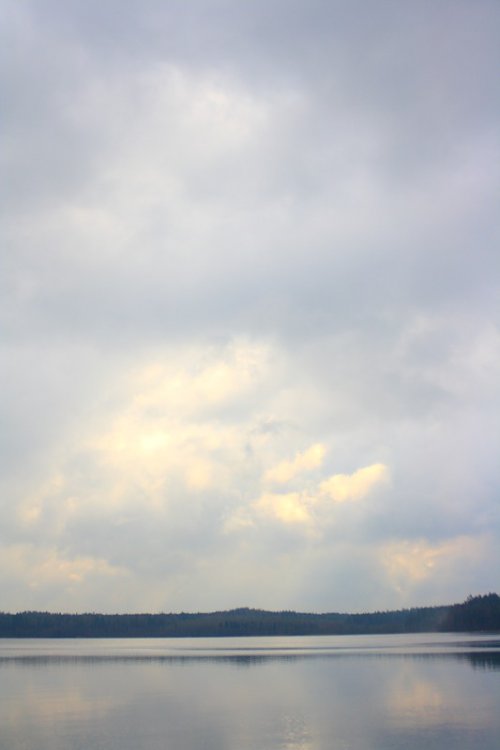 sk11.thumb.jpg.0354318a477b65ffb90632324cdcbecd.jpg